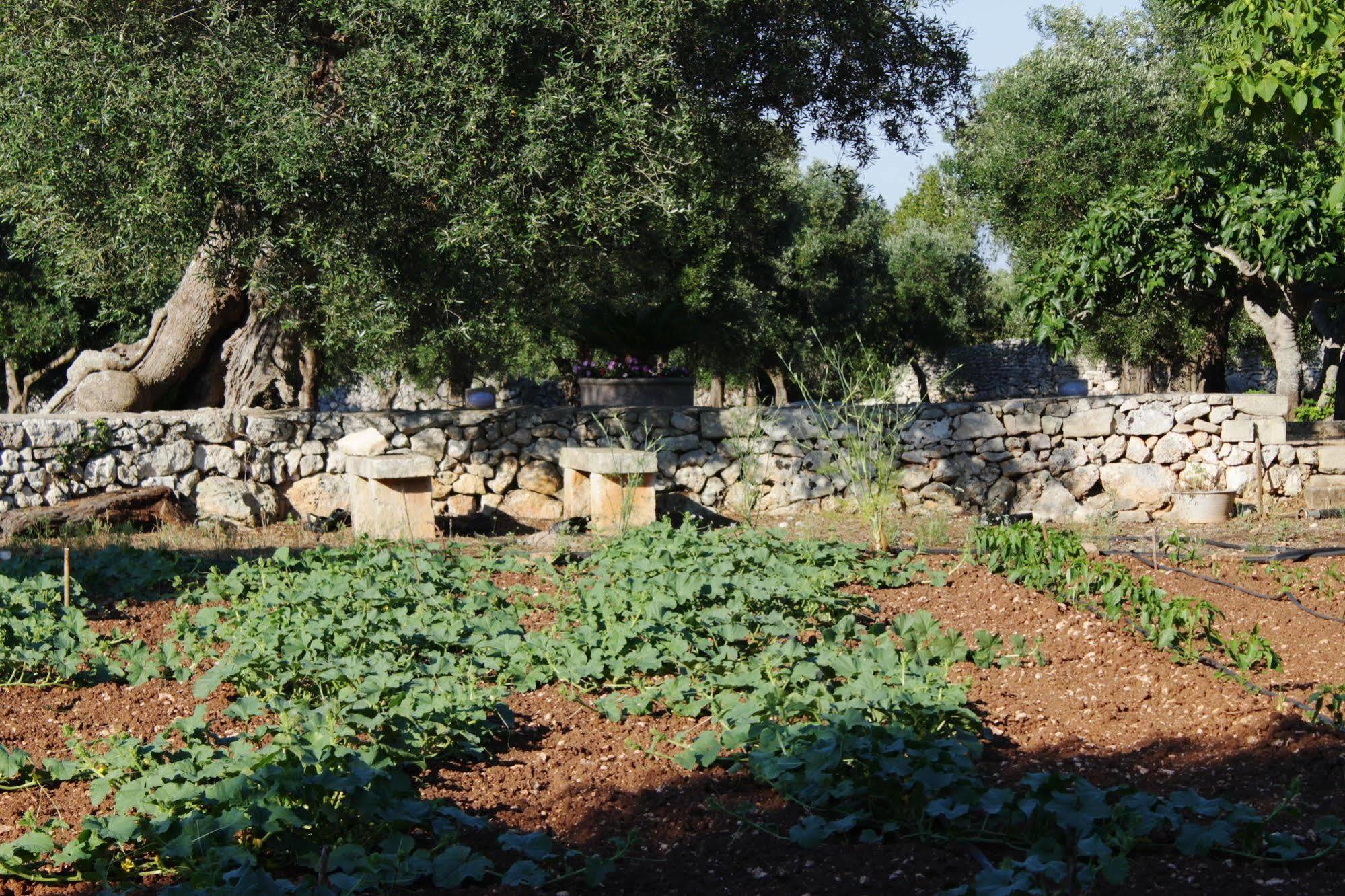 Tenuta Pigliano Hotel Bagnolo del Salento Екстериор снимка